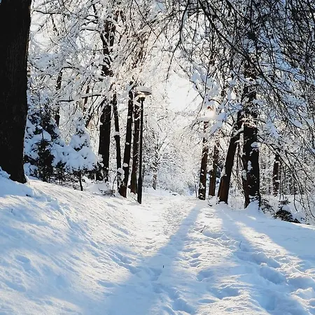 Krokus Готель